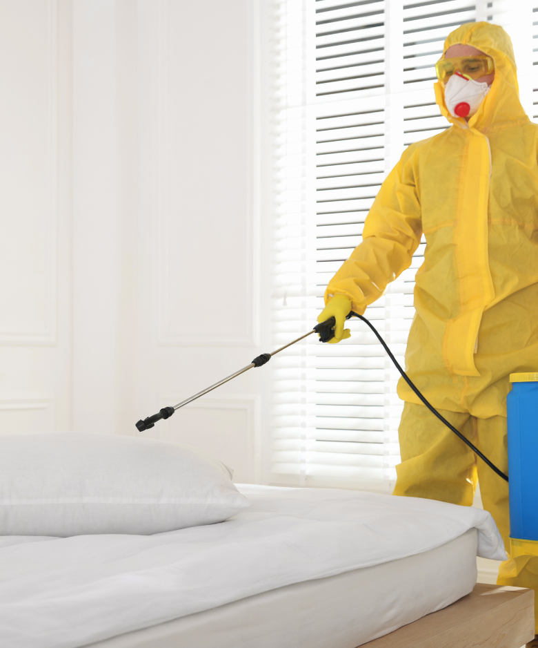 Professional Pest Control Team in Woodville South